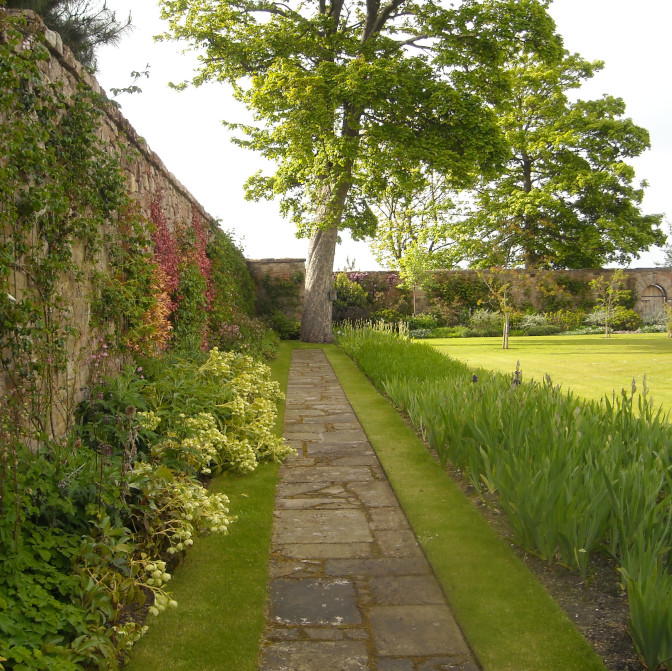 Walled garden with path leading to large tree
