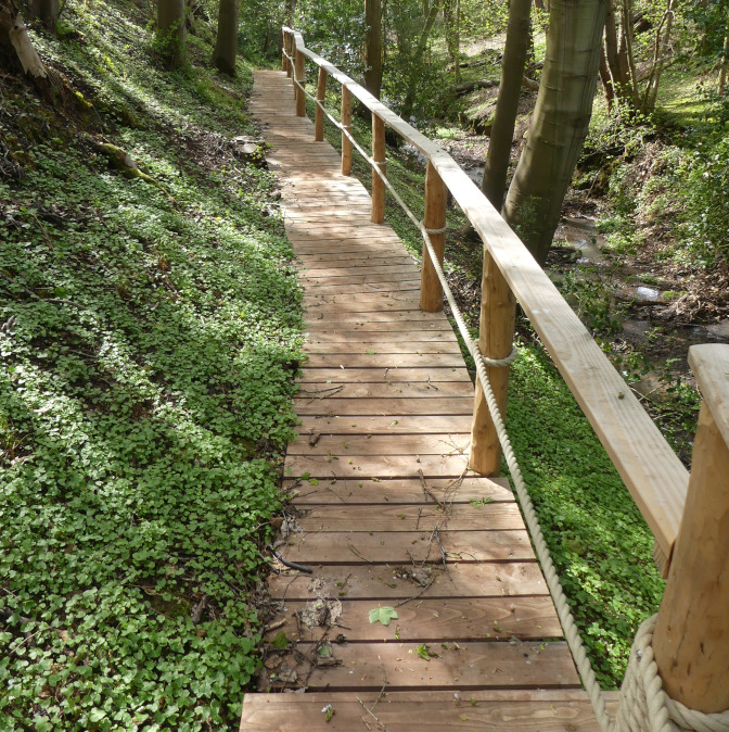 Slopeing walkway with handrail following trea-line