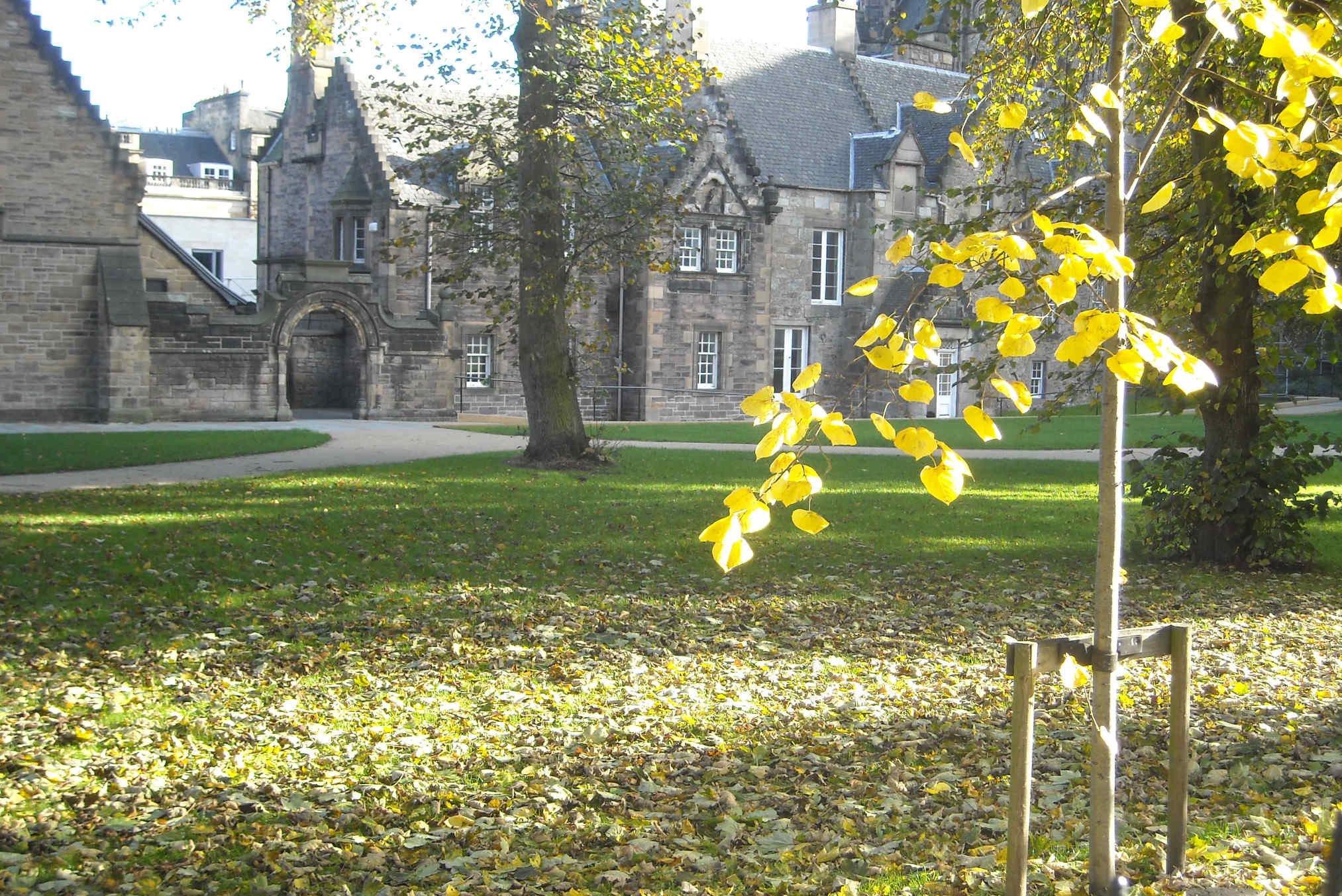 St Mary's Cathedral and Grounds